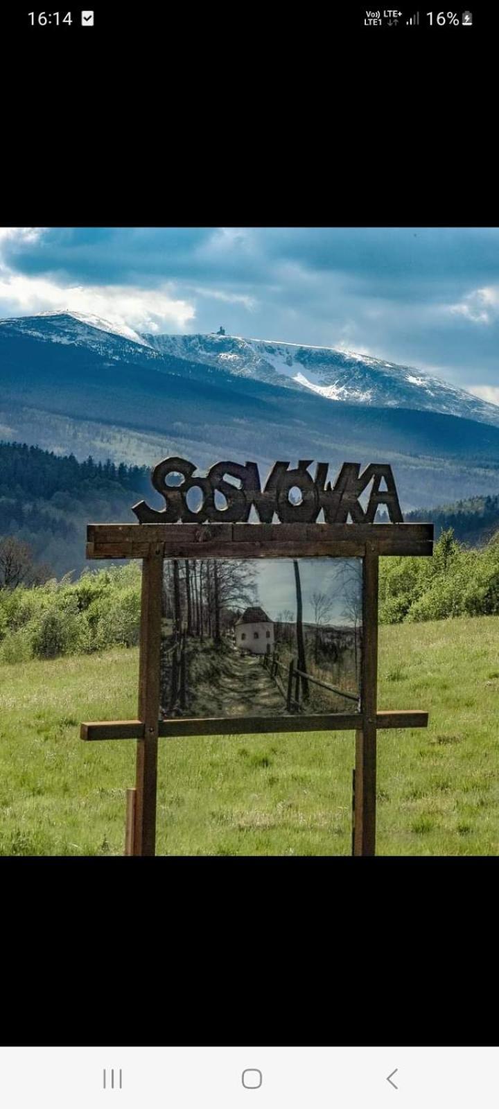 Apartament Laba Sosnówka Exterior foto